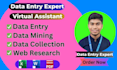 do fast data entry, data mining, data collection, web research