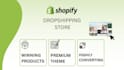 build a profitable shopify dropshipping store or shopify website