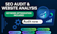 do an expert seo audit, analysis, and keyword optimization