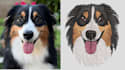 convert your photos into embroidery