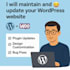 maintain and update your wordpress website professionally