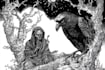 draw black and white illustrations