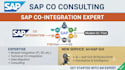 be your sap co consultant