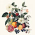make realistic scientific, anatomical botanical illustration