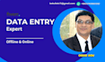 be your reliable and fast data entry expert
