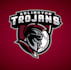 design sustainability minimal baseball team logo