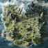 draw your fantasy map