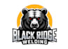 design wonderful bear logo