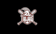design existing exclusive baseball team logo