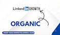 be your linkedin marketing manager for organic growth and content creation