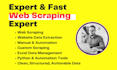 do data entry and file processing automation with python