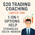 provide 20 dollars trading coaching for options, strangles ,delta ,margin help