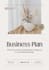 write a startup small business plan