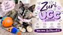 create cat ugc video ads for your product or service