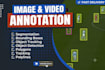 do accurate image annotations and data labeling projects