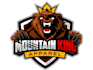 design wonderful bear logo