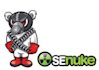 nuke your site with SEnuke X, SEnuke X service