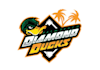 design magnificent diamond ducks baseball logo
