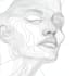 make abstract continuous line art for you