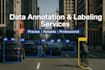 professionally annotate tag and label your data for ai and ml projects datasets