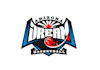 design exceptional arizona dream basketball logo