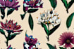 draw flowers, trees or botanical illustration