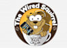 design wired squirrel with a new logo
