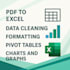 convert, clean, and format excel data professionally