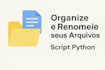 custom python script to automatically rename and organize files