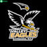 do custom sport logo design for you