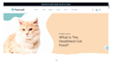 build pet store shopify website pet supplies, food, accessories dropshipping