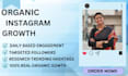 do instagram promotion with real organic gain targeted followers and engagement