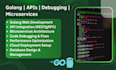 develop, debug, and optimize golang code, apis, web apps, microservices