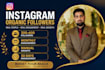 do organic instagram promotion and grow page followers fast