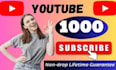 add 1000 real subscribers, likes for youtube