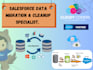 be your salesforce data migration and cleanup specialist