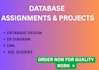 do sql queries, sql database projects, assignments, er diagram