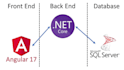 be your expert angular and dotnet core developer