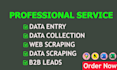 do data entry, data scraping, data collection and web scraping for b2b leads