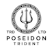 make high quality poseidon, trident, mythical, ocean king logo