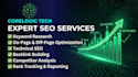 website SEO optimization expert for higher google rankings