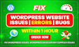 fix wordpress issues, errors, bugs and do wordpress bug fix