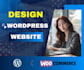 built a professional wordpress website or woocommerce store