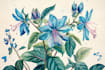paint watercolour botanical illustrations