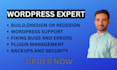 create affordable wordpress website design
