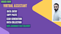 data entry, web research, copy paste and excel data entry