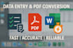 do accurate data entry copy paste, and PDF to excel tasks