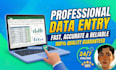 be your virtual assistant for data entry, typing, copy paste and web reserch