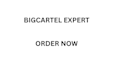design and setup a professional big cartel store