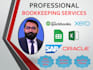 do bookkeeping in sap, oracle, quickbooks,excel, spreadsheet